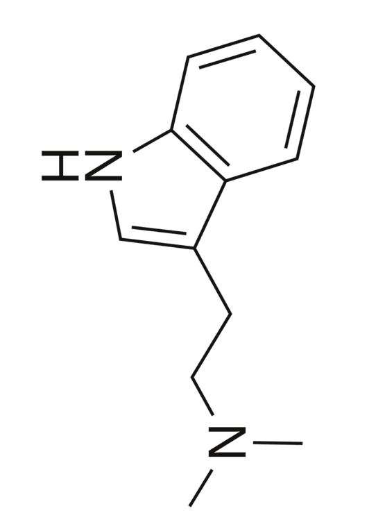 Buy Dmt Online (N,N-Dimethyltryptamine)